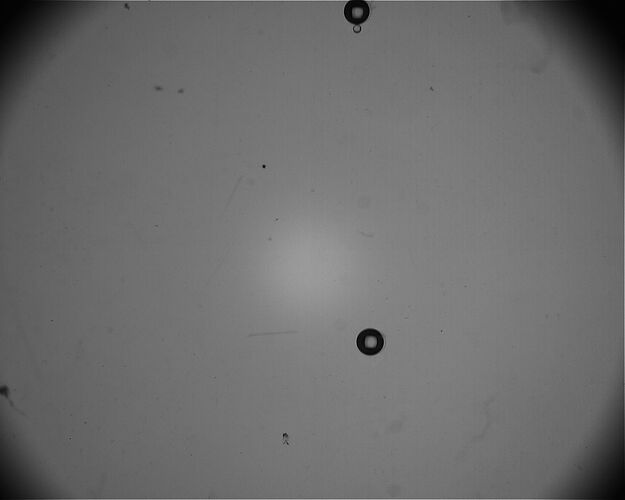 T8B2_0866