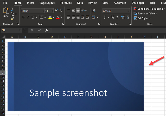 sample screenshot paste in excel