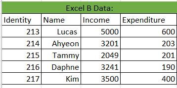 Excel B Data